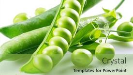  Presentation with peas - Presentation consisting of perfect-green-peas-in-pod background and a yellow colored foreground