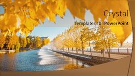  Presentation with autumn morning - PPT layouts consisting of perfect-morning-view-through background and a gold colored foreground