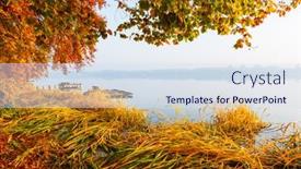  Presentation with forest morning - Audience pleasing presentation design consisting of perfect-morning-view-through backdrop and a sky blue colored foreground