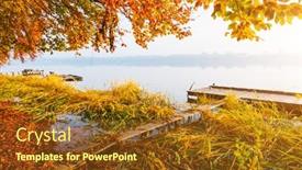  Presentation with forest morning - Presentation theme having perfect-morning-view-through background and a tawny brown colored foreground