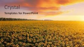  Presentation with agrarian - PPT layouts featuring perfect-multi-colored-clouds-over background and a coral colored foreground