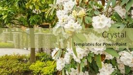  Presentation with north america - Presentation enhanced with perfect-neighbourhood-houses-in-suburb background and a yellow colored foreground