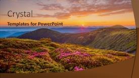  Presentation with nature art - Audience pleasing slide deck consisting of perfect-pink-flowers-rhododendrons backdrop and a coral colored foreground