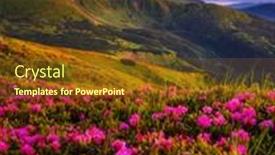  Presentation with nature art - Colorful PPT theme enhanced with perfect-pink-flowers-rhododendrons backdrop and a tawny brown colored foreground