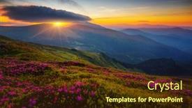  Presentation with nature art - Cool new presentation with perfect-pink-flowers-rhododendrons backdrop and a tawny brown colored foreground