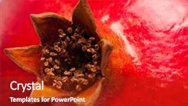  Presentation with pomegranate - Amazing theme having perfect red pomegranate isolated on white background backdrop and a tawny brown colored foreground