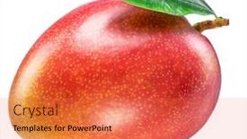  Presentation with mango fruit - Presentation theme featuring mangoes - perfect ripe mango fruit background and a red colored foreground