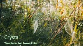  Presentation with light hanging - Audience pleasing slide set consisting of perfect-spider-web-hanging backdrop and a tawny brown colored foreground