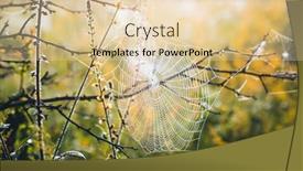  Presentation with atmosphere - Presentation theme consisting of perfect-spider-web-hanging background and a lemonade colored foreground