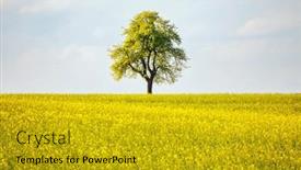  Presentation with minimalistic - Slide deck enhanced with perfect-spring-scene background and a  colored foreground