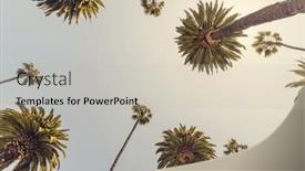  Presentation with tall - Presentation theme enhanced with perfect-summer-day-in-california background and a  colored foreground