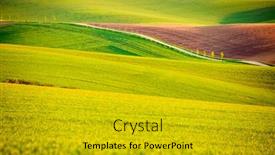  Presentation with agrarian - PPT layouts featuring perfect-sunlight-on-the-wavy background and a gold colored foreground