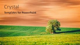  Presentation with minimalistic - PPT theme with perfect-sunlight-on-the-wavy background and a coral colored foreground