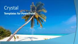  Presentation with coconut - Amazing presentation theme having perfect-tropical-white-sand-beach backdrop and a ocean colored foreground