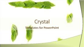  Presentation with colon - Amazing theme having quotations gardening - period comma colon dash backdrop and a cream colored foreground