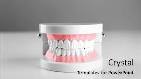  Presentation with plastic - Audience pleasing PPT theme consisting of periodontal - plastic human teeth models isolated backdrop and a light gray colored foreground
