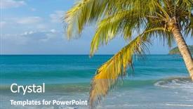  Presentation with coconut palm tree - Slides having perl - lonely coconut palm tree background and a  colored foreground