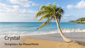  Presentation with coconut palm tree - Amazing slide set having perl - lonely coconut palm tree backdrop and a coral colored foreground