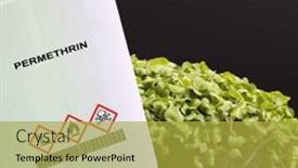  Presentation with agriculture - PPT theme with permethrin-insecticide-synthetic-pyrethroid-agriculture background and a yellow colored foreground