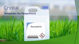  Presentation with livestock - Presentation design with permethrin-insecticide-used-to-control background and a sky blue colored foreground