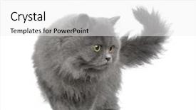  Presentation with artificial intelligence white - Colorful theme enhanced with persan in front of a white background backdrop and a white colored foreground