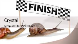  Presentation with perseverance - Amazing slides having perseverance - funny snails arriving backdrop and a light gray colored foreground