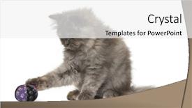  Presentation with hello kitty cute little kitten - Amazing PPT theme having persian kitten 3 months old backdrop and a white colored foreground