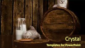  Presentation with persian - Presentation theme featuring african bush elephant drinking water background and a violet colored foreground