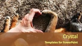  Presentation with shape heart - Beautiful slide set featuring person and a dog making backdrop and a tawny brown colored foreground