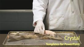  Presentation with anatomy - Amazing slide set having person experimenting on a fish backdrop and a coral colored foreground