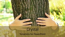  Presentation with tree - PPT layouts consisting of person hugs trunk large tree background and a gold colored foreground