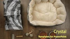  Presentation with pet grooming - Colorful PPT theme enhanced with personal grooming - pet accessories on wooden background backdrop and a tawny brown colored foreground