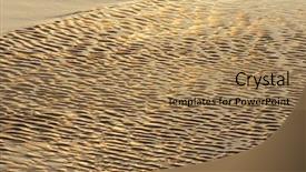  Presentation with sand - Presentation theme featuring personal growth - photo of sand background and a  colored foreground