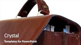  Presentation with reptile python snakeskin leather snake - PPT theme enhanced with personal portfolio - closeup of leather briefcase background and a tawny brown colored foreground