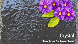  Presentation with stone afe - Beautiful PPT theme featuring personel hygeine - stone and flowers backdrop and a dark gray colored foreground