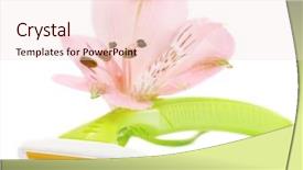  Presentation with flower woman - Presentation design consisting of personel hygeine - woman safety shaver and flower background and a lemonade colored foreground