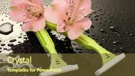  Presentation with safety - Slide deck enhanced with personel hygeine - woman safety shavers and flowers background and a  colored foreground