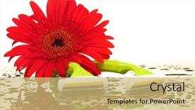  Presentation with electrical safety system - Slide set featuring personel hygeine - woman safety shavers with drops background and a  colored foreground