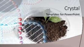  Presentation with plant structure - Cool new PPT layouts with perty - science biology ecology research backdrop and a light gray colored foreground