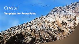  Presentation with rocks - Presentation design enhanced with peruvian-gannets-on-the-rocks background and a teal colored foreground