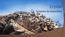  Presentation with rocks - Colorful PPT layouts enhanced with peruvian-gannets-on-the-rocks backdrop and a light blue colored foreground