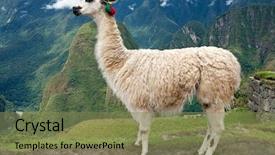  Presentation with lost - Audience pleasing PPT layouts consisting of incaico - llama at lost city backdrop and a violet colored foreground