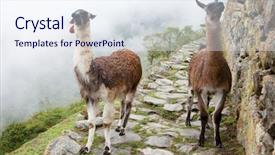  Presentation with lost - PPT layouts having incaico - llama at lost city background and a sky blue colored foreground