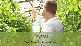  Presentation with greenhouse - Cool new theme with pest analysis - farmer with flask in greenhouse backdrop and a gold colored foreground