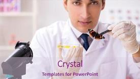  Presentation with new begining - Slides having pest analysis - scientist entomologist studying new butterfly background and a  colored foreground