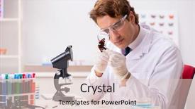  Presentation with butterfly - Colorful slide deck enhanced with pest analysis - scientist entomologist studying new butterfly backdrop and a  colored foreground