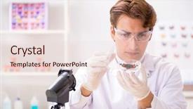  Presentation with butterfly - Theme enhanced with pest analysis - scientist entomologist studying new butterfly background and a  colored foreground