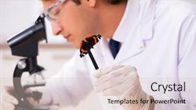  Presentation with butterfly - Beautiful PPT theme featuring pest analysis - scientist entomologist studying new butterfly backdrop and a lemonade colored foreground