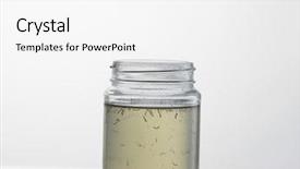  Presentation with pest - Presentation theme consisting of pest control - glass container with aedes background and a white colored foreground