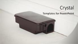  Presentation with white rat - Presentation design enhanced with pest control - rat bait box on white background and a white colored foreground